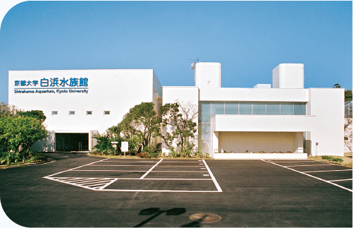 京都大学白浜水族館改修工事